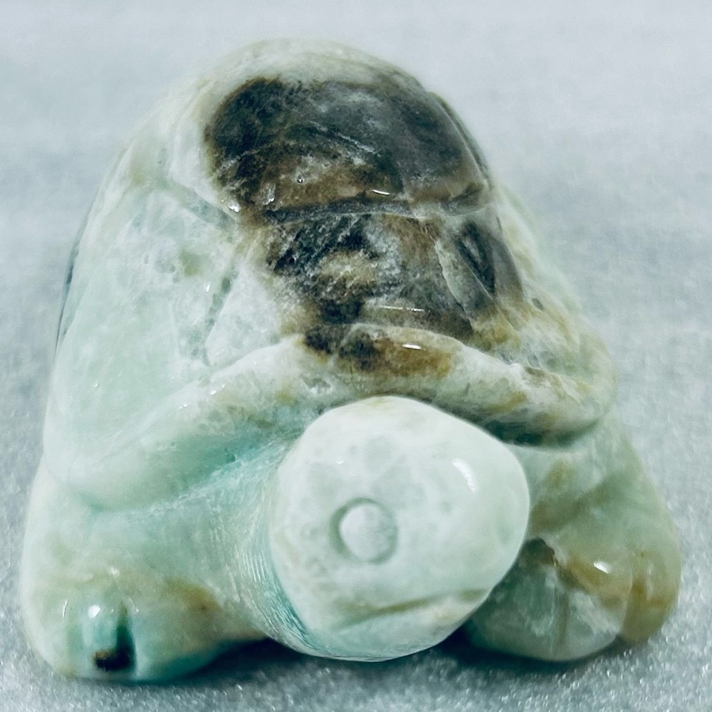 Caribbean calcite turtle